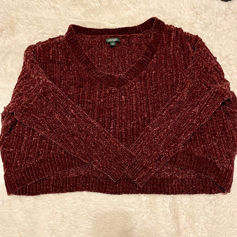 Wild fable cropped velvet sweater